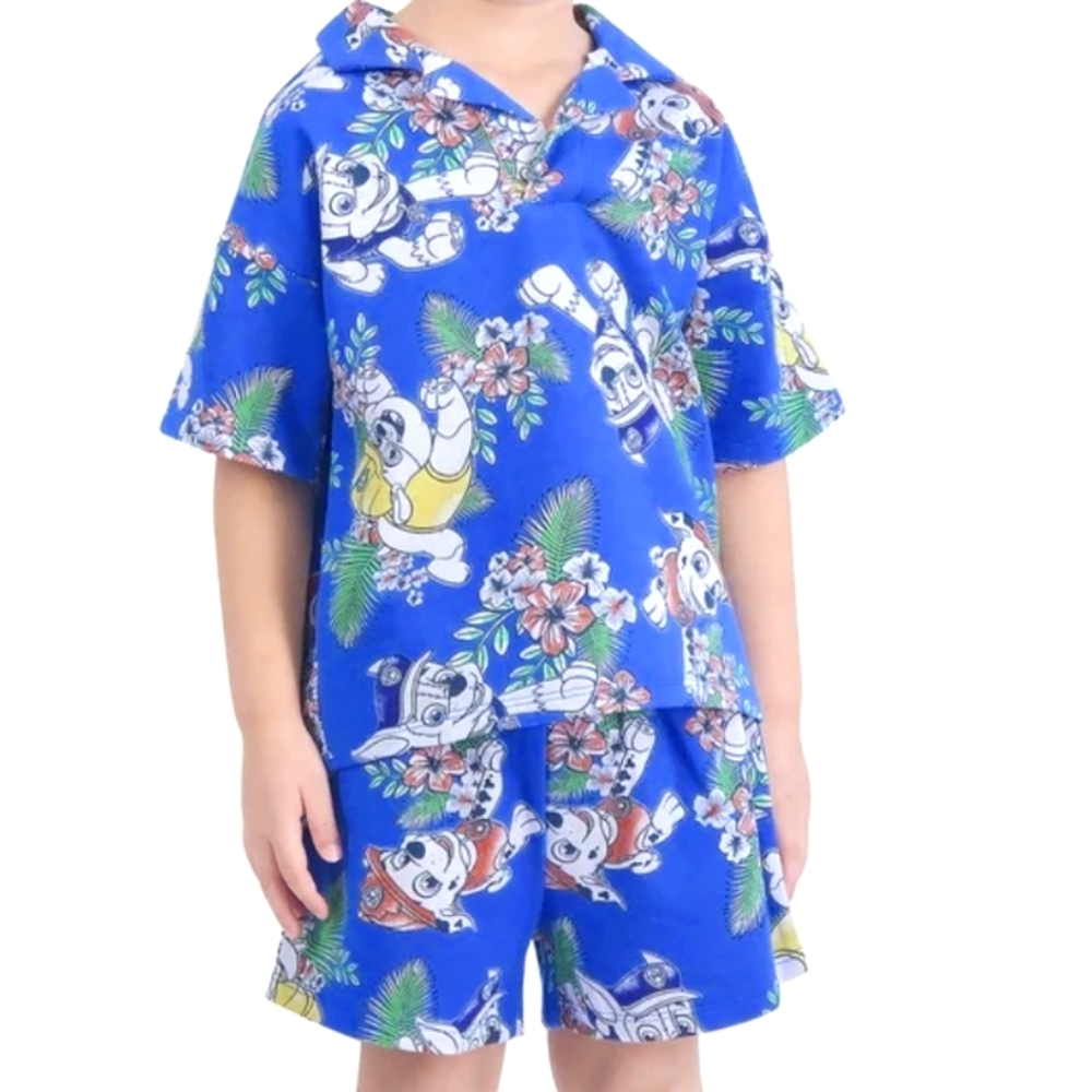 Paw Patrol Kids 2pc Shirt and Shorts Outfit Blue Cartoon Print 2T NEW